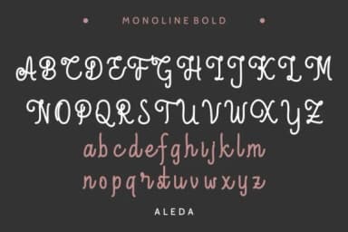 Aleda Font by EdricStudio — Script Handwritten Font — thumbnail 6