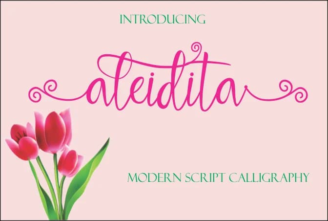 Aleidita Font by Jaime Rangel Castro — Script Handwritten Font — preview 1
