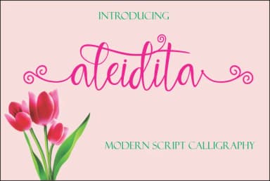 Aleidita Font by Jaime Rangel Castro — Script Handwritten Font — thumbnail 1