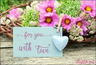 Aleidita Font by Jaime Rangel Castro — Script Handwritten Font — thumbnail 6