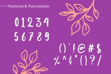 Alenka Font by herbanuts — Script Handwritten Font — thumbnail 4