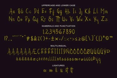 Alexandrea Font by Madatype Studio — Script Handwritten Font — thumbnail 9