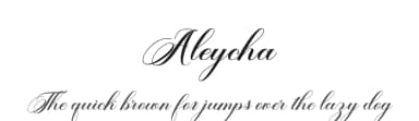 Aleycha by Skinny Type — Script Handwritten Font — thumbnail 1