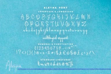 Aleyna Font by Damarletter — Script Handwritten Font — thumbnail 4