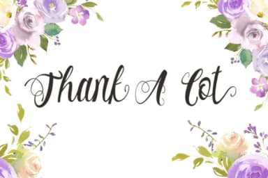 Alhenya Font by studioguntur — Script Handwritten Font — thumbnail 6