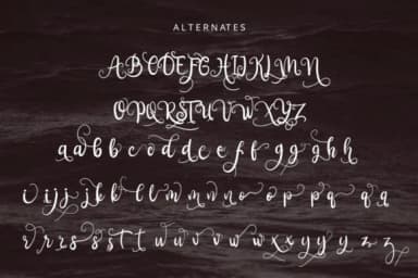 Aliandra Font by lyanatha — Script Handwritten Font — thumbnail 7