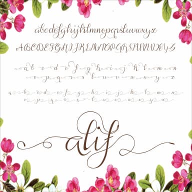 Alif Font by afredo.fk — Script Handwritten Font — thumbnail 3