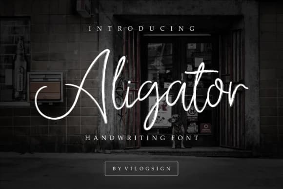Aligator Font by Vilogsign — Script Handwritten Font — preview 1