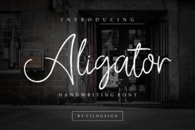 Aligator Font by Vilogsign — Script Handwritten Font — thumbnail 1