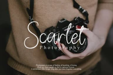 Aligator Font by Vilogsign — Script Handwritten Font — thumbnail 3