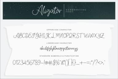Aligator Font by Vilogsign — Script Handwritten Font — thumbnail 4
