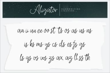 Aligator Font by Vilogsign — Script Handwritten Font — thumbnail 8