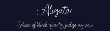Aligator by vilogsign — Script Handwritten Font — thumbnail 2