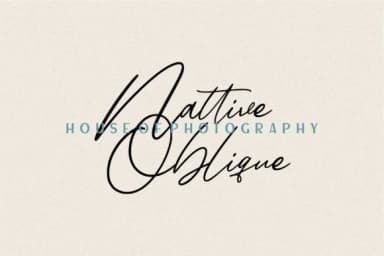 Alinnea Font by Garisman Studio — Script Handwritten Font — thumbnail 4