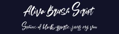 Aliva Brush Script by Dirtyline Studio — Script Handwritten Font — thumbnail 2