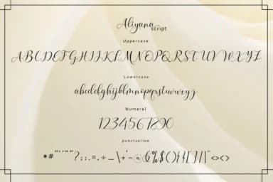 Aliyana Script Font by Sulthan Studio — Script Handwritten Font — thumbnail 8