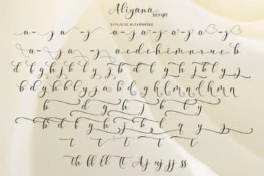 Aliyana Script Font by Sulthan Studio — Script Handwritten Font — thumbnail 9