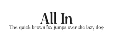 All In by Handpik — Serif Font — thumbnail 1