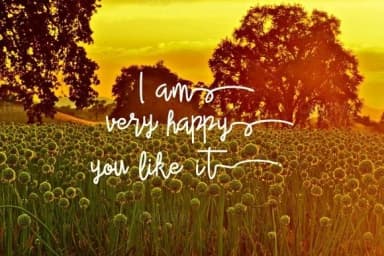 Alleana Script Font by Ijem RockArt — Script Handwritten Font — thumbnail 2