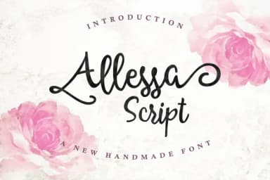 Allessa Script Font by QueenType — Script Handwritten Font — thumbnail 2