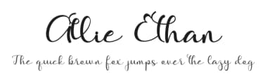 Allie Ethan by Tiny Hand Letter — Script Handwritten Font — thumbnail 1