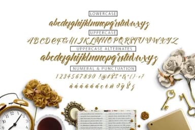 Allita Font by Olexstudio — Script Handwritten Font — thumbnail 5