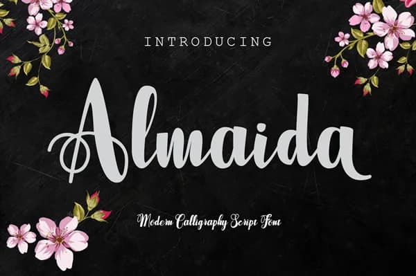 Almaida Font by Jorse Creative — Script Handwritten Font