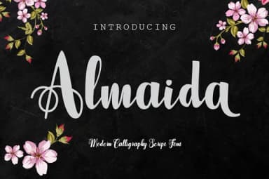 Almaida Font by Jorse Creative — Script Handwritten Font — thumbnail 1