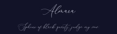 Almara by Satin Studio — Script Handwritten Font — thumbnail 2