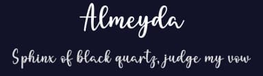 Almeyda by Wahyu Studio — Script Handwritten Font — thumbnail 2
