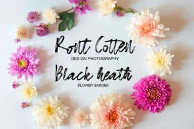 Almirra Font by Picatype Studio — Script Handwritten Font — thumbnail 5