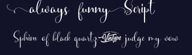 Always Funny Script by VinType — Script Handwritten Font — thumbnail 2
