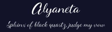 Alyaneta by Fanastudio — Script Handwritten Font — thumbnail 2