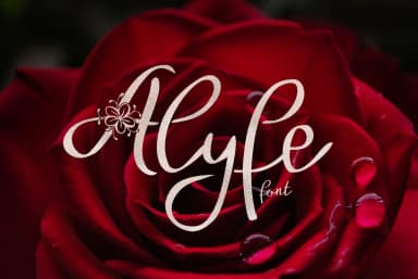 Alyfe Font by Digital Typeface Studio — Script Handwritten Font — thumbnail 1