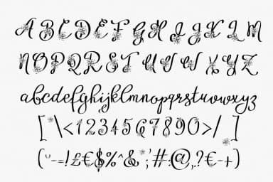 Alyfe Font by Digital Typeface Studio — Script Handwritten Font — thumbnail 2