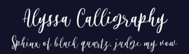 Alyssa Calligraphy by Colllab Studio — Script Handwritten Font — thumbnail 2