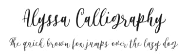 Alyssa Calligraphy by Colllab Studio — Script Handwritten Font — thumbnail 1
