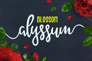 Alyssum Blossom Font by bombastype — Script Handwritten Font — thumbnail 1