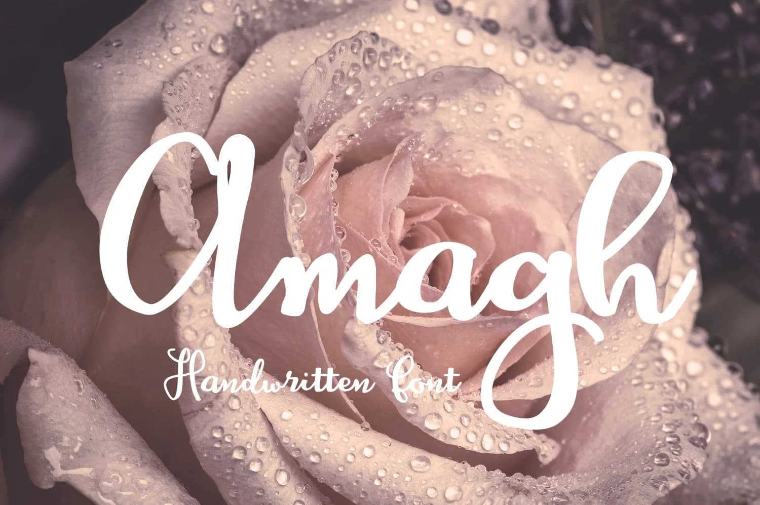 Amagh Font by Digital Typeface Studio — Script Handwritten Font