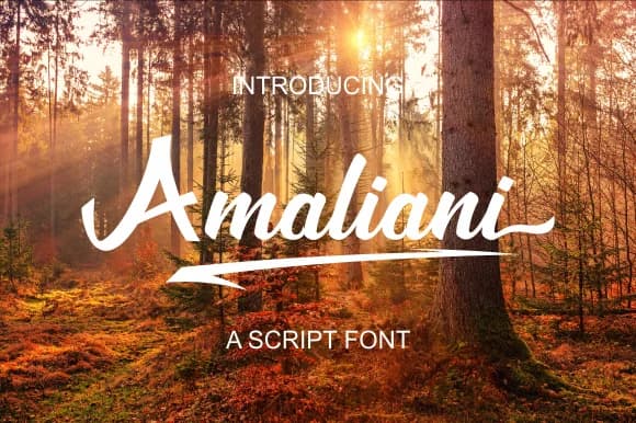 Amaliani Font by Febri Creative — Script Handwritten Font — preview 1