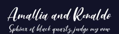 Amallia and Ronaldo by Letterena Studios — Script Handwritten Font — thumbnail 2