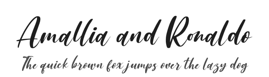Amallia and Ronaldo by Letterena Studios — Script Handwritten Font