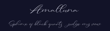 Amalluna by Vunira Design — Script Handwritten Font — thumbnail 2
