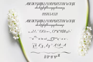 Amanda Font by art design by art design — Script Handwritten Font — thumbnail 8