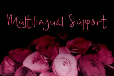 Amanda Script Font by VitaminRGB — Script Handwritten Font — thumbnail 5