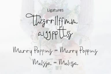 Amanda Script Font by VitaminRGB — Script Handwritten Font — thumbnail 7