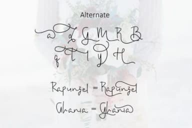 Amanda Script Font by VitaminRGB — Script Handwritten Font — thumbnail 8