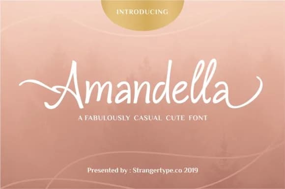 Amandella Font by Strangertype — Script Handwritten Font