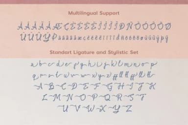 Amandella Font by Strangertype — Script Handwritten Font — thumbnail 4