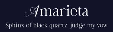 Amarieta by Hishand Studio — Serif Font — thumbnail 2
